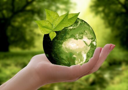 Expandovaný polystyrén, vyrábaný členmi Združenia EPS SR, má spracované Environmentálne vyhlásenie o produkte