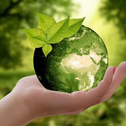 Expandovaný polystyrén, vyrábaný členmi Združenia EPS SR, má spracované Environmentálne vyhlásenie o produkte
