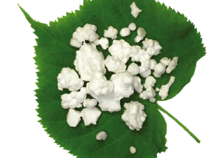 Polystyrén je 100% recyklovateľný a obsahuje 98 % vzuchu