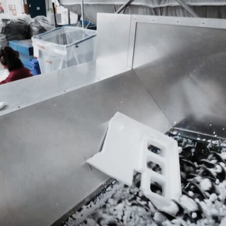 Recyklácia polystyrénu je dobrý príklad cirkulárnej ekonomiky v praxi (Reportáž STVR 2025)