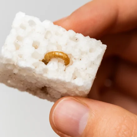 Expandovaný polystyrén je 100 % recyklovateľný a teraz aj biologicky rozložiteľný