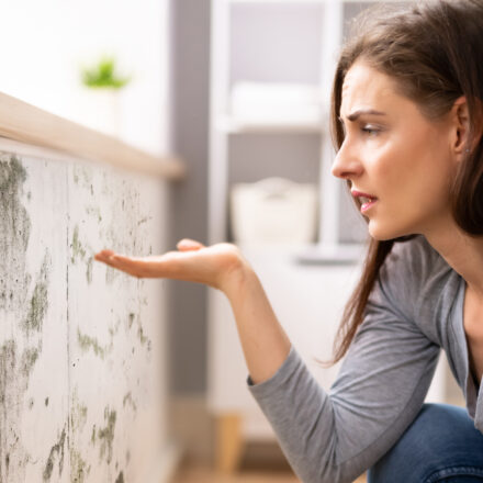 Bojujete s plesňami v domácnosti? Zbavte sa ich raz a navždy Bojujete s plesňami v domácnosti? Zbavte sa ich raz a navždy