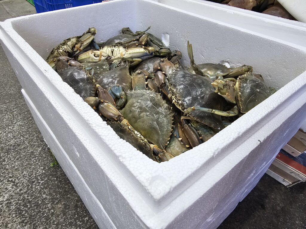 001 – Polystyrénový obal (EPS) s čerstvými krabmi