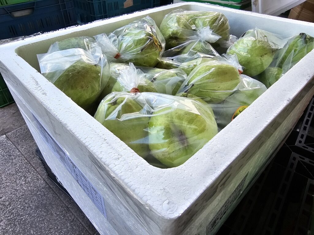 002 – Polystyrénový obal (EPS) s balenými zelenými kokosmi