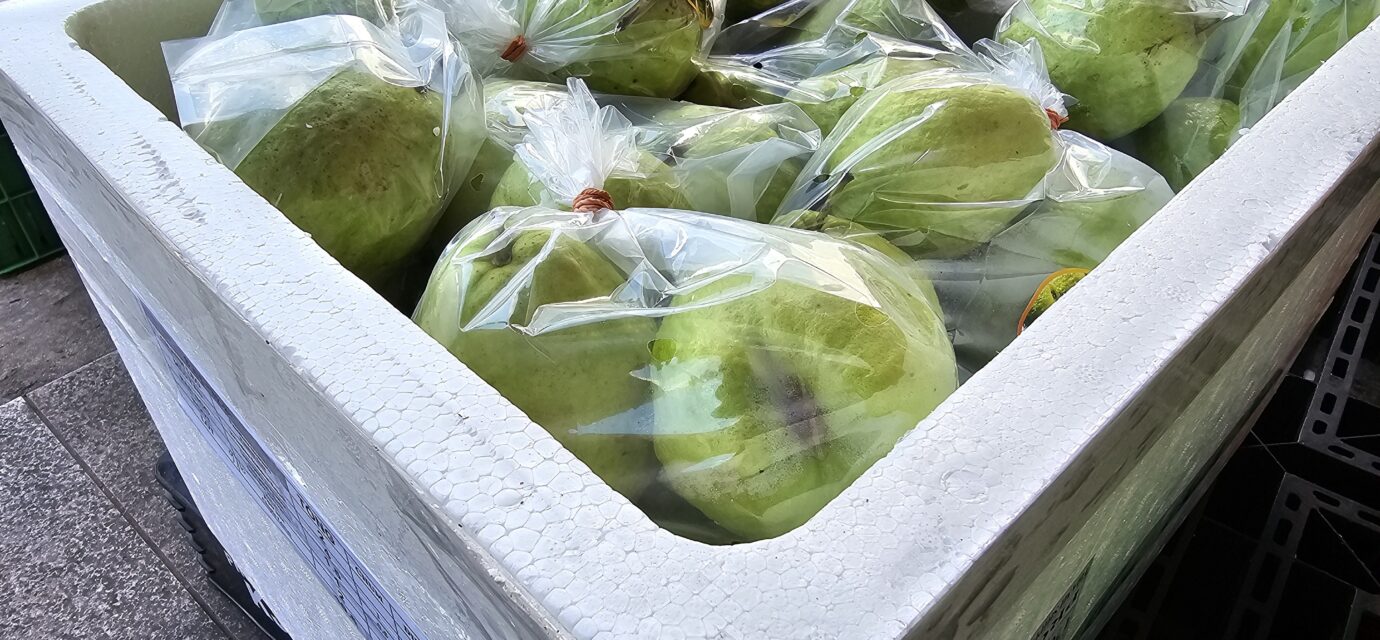 002 – Polystyrénový obal (EPS) s balenými zelenými kokosmi