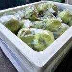 002 – Polystyrénový obal (EPS) s balenými zelenými kokosmi