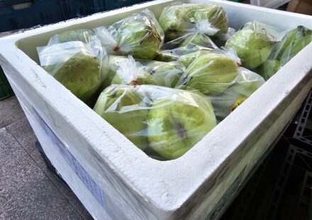 002 – Polystyrénový obal (EPS) s balenými zelenými kokosmi