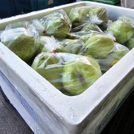 002 – Polystyrénový obal (EPS) s balenými zelenými kokosmi