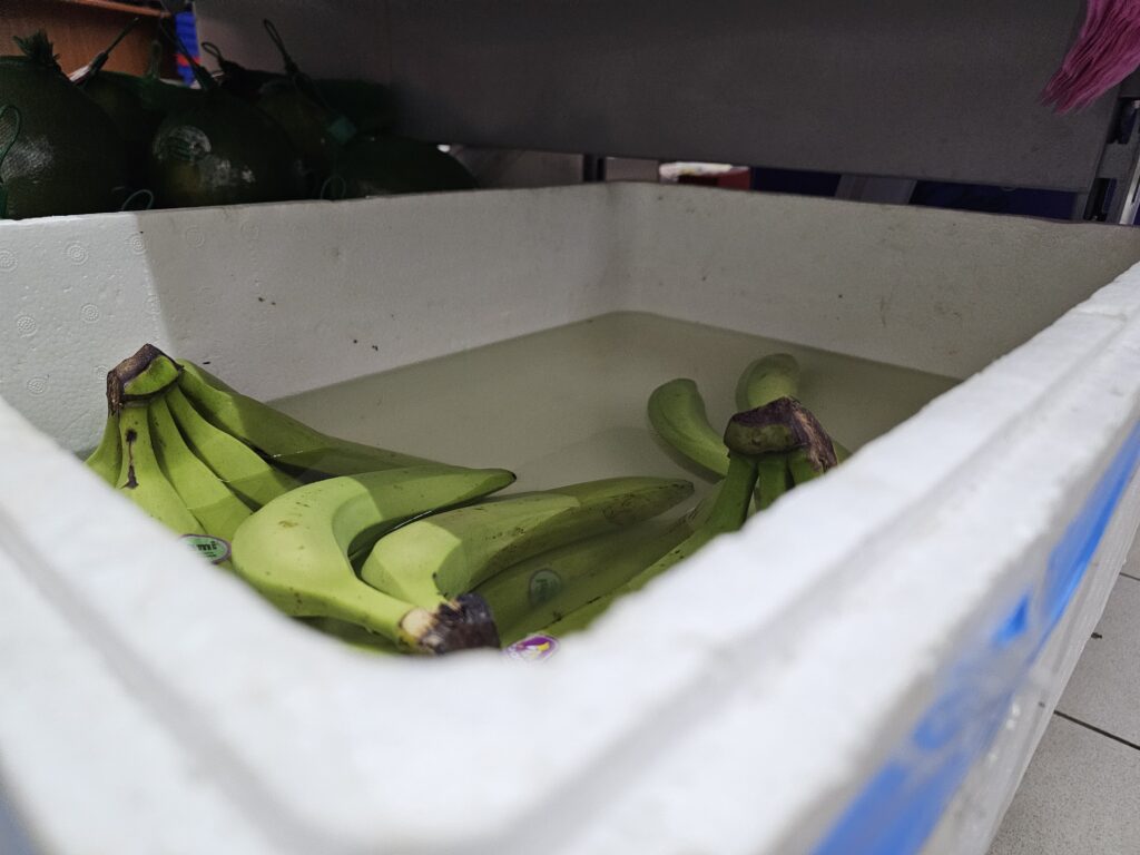 003 – Polystyrénový obal (EPS) s banánmi uloženými vo vode